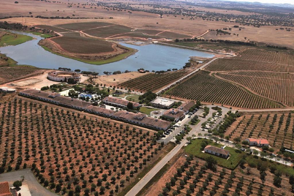 Vila Gale Alentejo Vineyard - Clube De Campo Hotel Albernoa Exterior photo